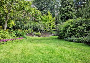 Optimiser l'expérience du jardin à Grancey-sur-Ource